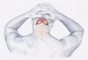 Suboccipitales strech 300x204 - ALIVIA LA TENSI&Oacute;N CERVICAL GENERADA POR EL ENTRENAMIENTO DE CICLISMO, TRIATL&Oacute;N...