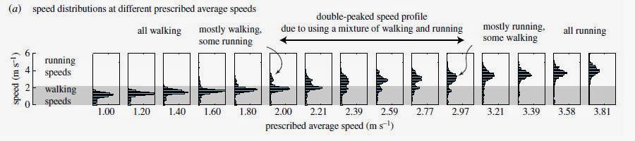 ¿CUÁNDO CONVIENE ANDAR EN LA MARATÓN DE UN IRONMAN? RunWalk SelfSelected - ¿CUÁNDO CONVIENE ANDAR EN LA MARATÓN DE UN IRONMAN?