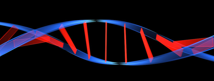 genetica humana 1080x810 710x270 - ASPECTOS GENÉTICOS QUE INFLUYEN EN LA DETECCIÓN DEL TALENTO DEPORTIVO