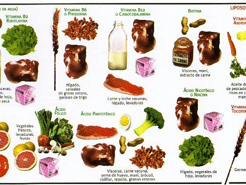 ¿QUÉ TIPO DE HIDRATOS DE CARBONO SON LOS MÁS RECOMENDADOS? vitaminas 495x372 - ¿QUÉ TIPO DE HIDRATOS DE CARBONO SON LOS MÁS RECOMENDADOS?