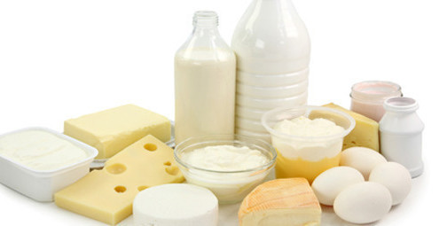 EL TE VERDE PARA MEJORAR EL  ENTRENAMIENTO DE TRIATLÓN Y CICLISMO lacteos 495x255 - EL TE VERDE PARA MEJORAR EL  ENTRENAMIENTO DE TRIATLÓN Y CICLISMO