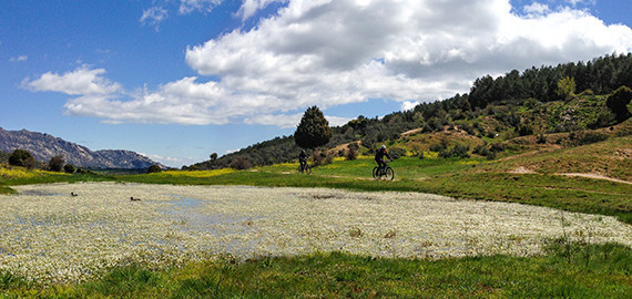 Unión de 2 fotos espectaculares de Juan Carlos 570x270 - ENTRENAR TRIATLÓN O CICLISMO CON ALERGIA