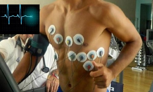 CÓMO REALIZAR EL ENTRENAMIENTO CRUZADO PARA OBTENER UN MAYOR NIVEL DE APTITUD FÍSICA EN DEPORTISTAS POPULARES ergometria 495x297 - CÓMO REALIZAR EL ENTRENAMIENTO CRUZADO PARA OBTENER UN MAYOR NIVEL DE APTITUD FÍSICA EN DEPORTISTAS POPULARES