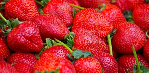 11 495x245 - EL TRIATLETA ALFONSO MARTÍNEZ  CONSIGUE PARA DESABI UN ORO Y UNA PLATA EN LOS CAMPEONATOS DE ESPAÑA