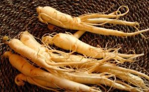 ginseng coreano 300x185 - ginseng-coreano