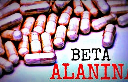 B alanine 495x317 - ¿QUÉ COMER TRAS UN DÍA DE COMIDAS NAVIDEÑAS?