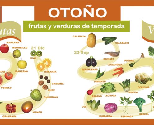 71dca3 ffb529479ef84a48b68e99a4f634d974 495x400 - ¿QUÉ COMER TRAS UN DÍA DE COMIDAS NAVIDEÑAS?