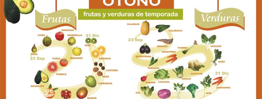 71dca3 ffb529479ef84a48b68e99a4f634d974 845x321 - ¿COMEMOS LA SUFICIENTE FIBRA, VITAMINAS... PARA RENDIR EN CUALQUIER ENTRENAMIENTO?