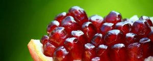 An opened pomegranate 300x120 - an_opened_pomegranate