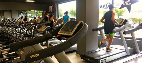 cinta1 500x220 495x220 - LA GRANADA "El antioxidante del otoño"