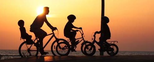 papel de los padres principal 495x200 - LA GRANADA "El antioxidante del otoño"