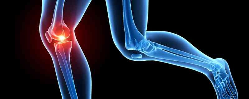 10 ERRORES QUE NOS LLEVAN A SUFRIR LESIONES Curso Superior Anatomia Estiramientos Salud Deportiva 1 800x321 - 10 ERRORES QUE NOS LLEVAN A SUFRIR LESIONES