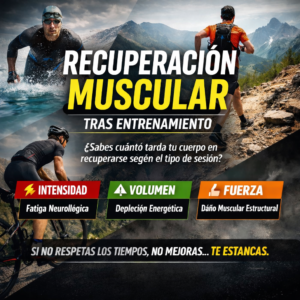 RECUPERACIÓN MUSCULAR TRAS ENTRENAMIENTO RECUPERACION MUSCULAR TRAS ENTRENAMIENTO 300x300 - RECUPERACIÓN MUSCULAR TRAS ENTRENAMIENTO